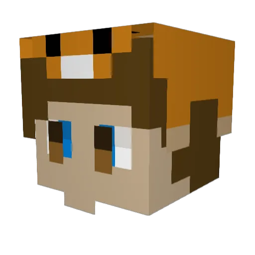 Splinter572 Minecraft avatar head, 3D render