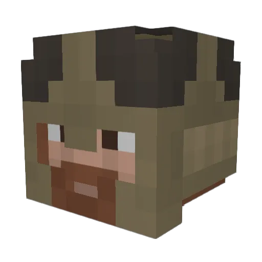 SplinterDrums Minecraft avatar head, 3D render
