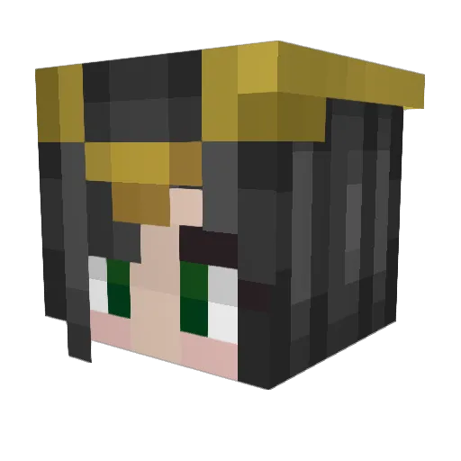 Splintersnake8 Minecraft avatar head, 3D render