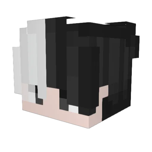 Splinterzin Minecraft avatar head, 3D render
