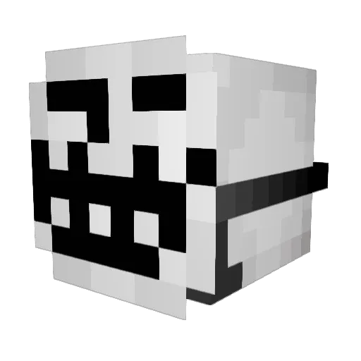 Split4Fun Minecraft avatar head, 3D render