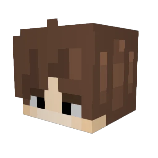 SplitKnight Minecraft avatar head, 3D render