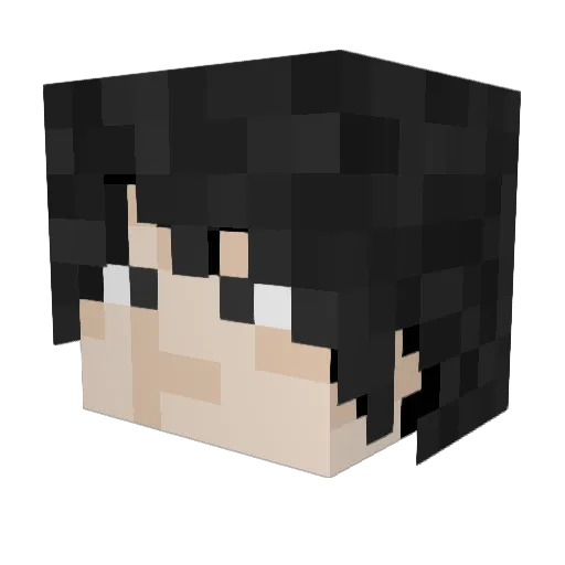 Split_Zzz Minecraft avatar head, 3D render