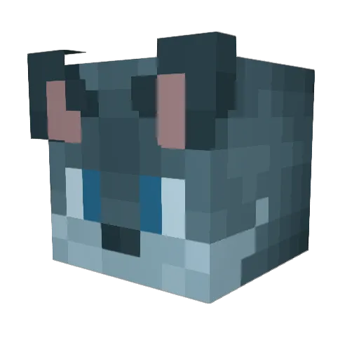 Splopsussa Minecraft avatar head, 3D render
