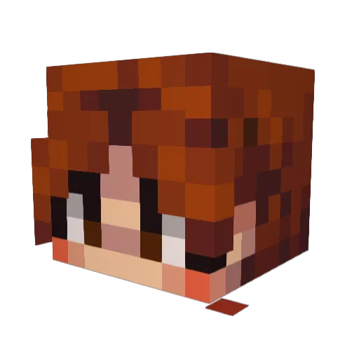 Splotch Minecraft avatar head, 3D render