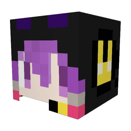 SplusNone Minecraft avatar head, 3D render