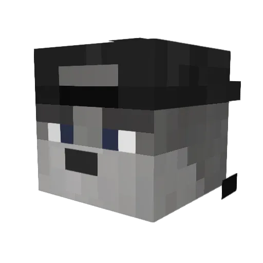 Spoagei Minecraft avatar head, 3D render