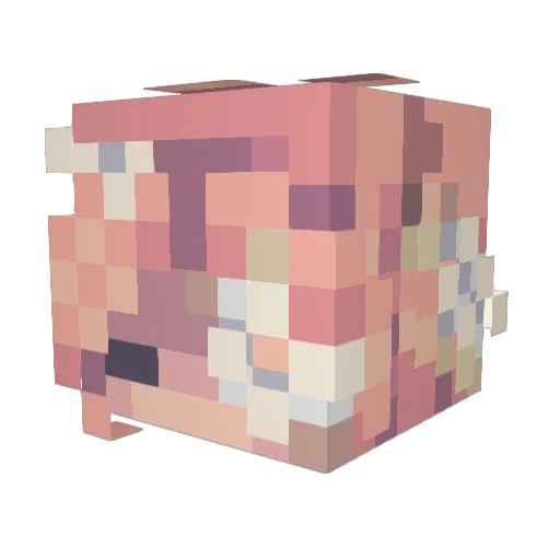 Spocona_Wiktoria Minecraft avatar head, 3D render