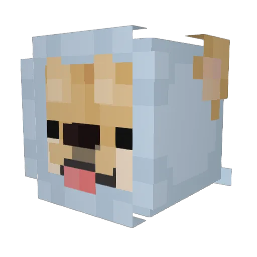 SpoconyPiotrus Minecraft avatar head, 3D render