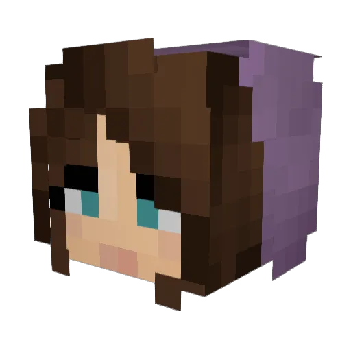 Spode Minecraft avatar head, 3D render