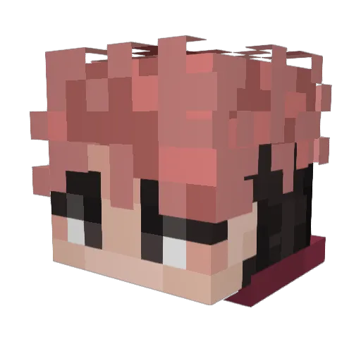 Spoderrr Minecraft avatar head, 3D render