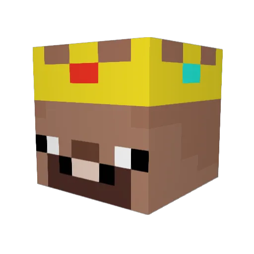 Spoerg_Liam Minecraft avatar head, 3D render