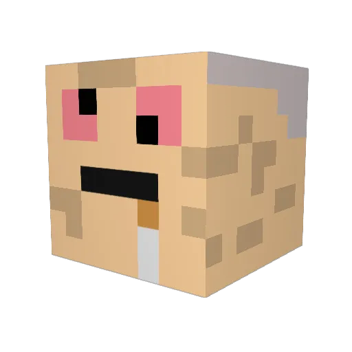Spoerman Minecraft avatar head, 3D render