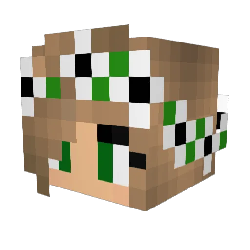 Spoiink Minecraft avatar head, 3D render