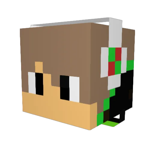 SpoilTime Minecraft avatar head, 3D render