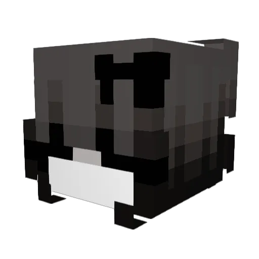 Spoiledayz Minecraft avatar head, 3D render