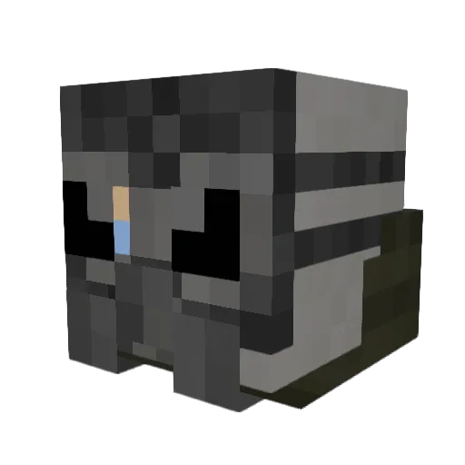 Spojinowski Minecraft avatar head, 3D render