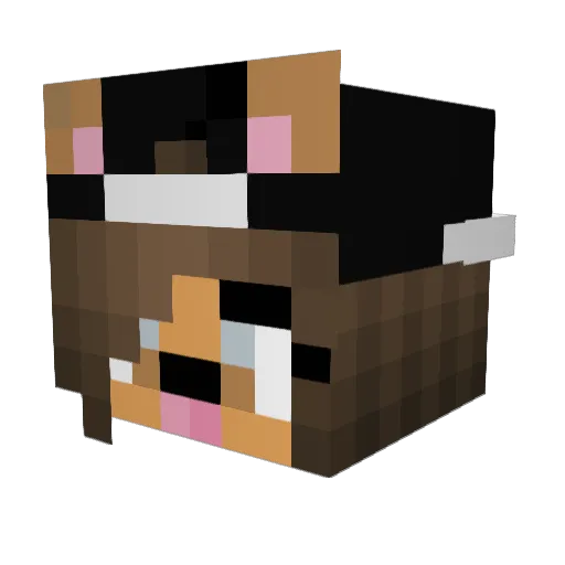 Spoken4 Minecraft avatar head, 3D render