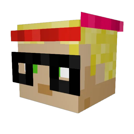 SpokenBridge553 Minecraft avatar head, 3D render