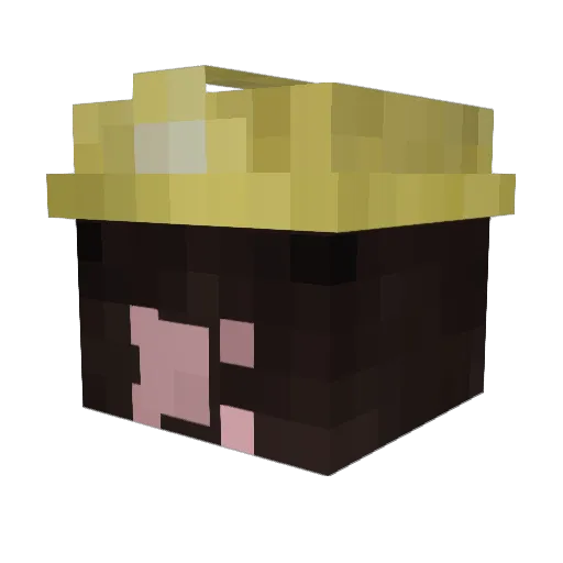 SpongeBobV2 Minecraft avatar head, 3D render