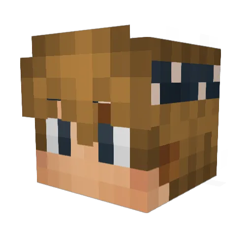SpongeCakes Minecraft avatar head, 3D render