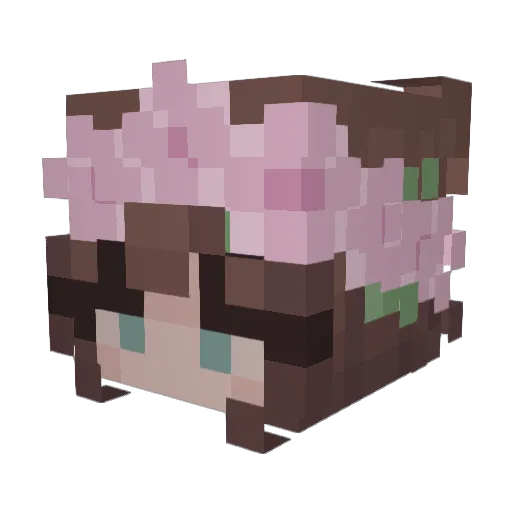 SpongePau Minecraft avatar head, 3D render