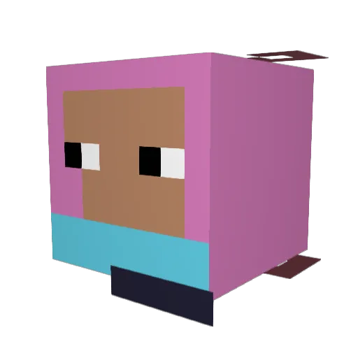 SpongeRob91 Minecraft avatar head, 3D render