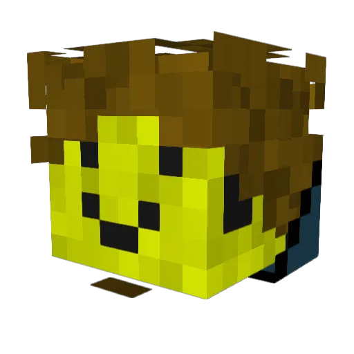 Sponge___ Minecraft avatar head, 3D render