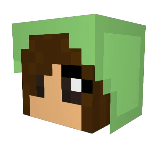 Spongebunnies Minecraft avatar head, 3D render