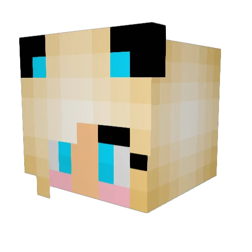 Spongebutt2001 Minecraft avatar head, 3D render
