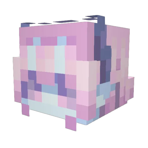 SpongeyBuns Minecraft avatar head, 3D render