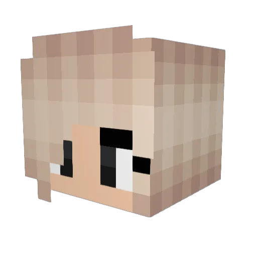 Spongey_123 Minecraft avatar head, 3D render