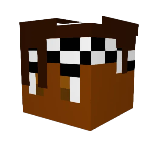 SpongyCave62747 Minecraft avatar head, 3D render