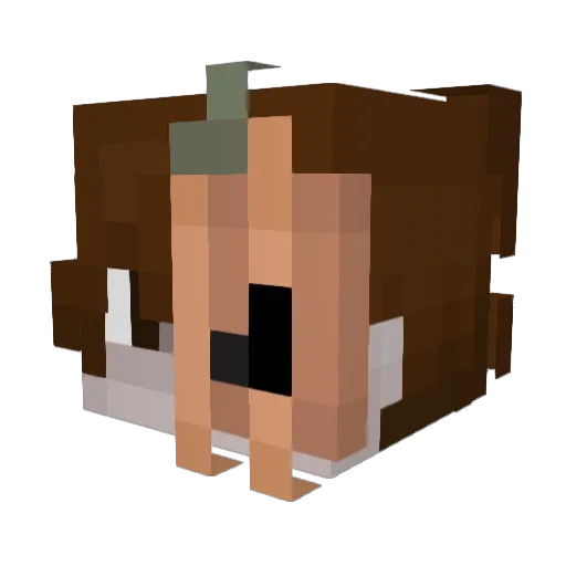 SpongyDavid Minecraft avatar head, 3D render