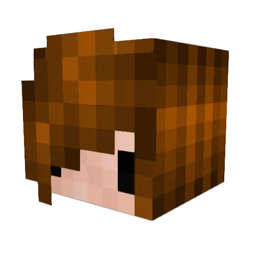 Sponkle Minecraft avatar head, 3D render