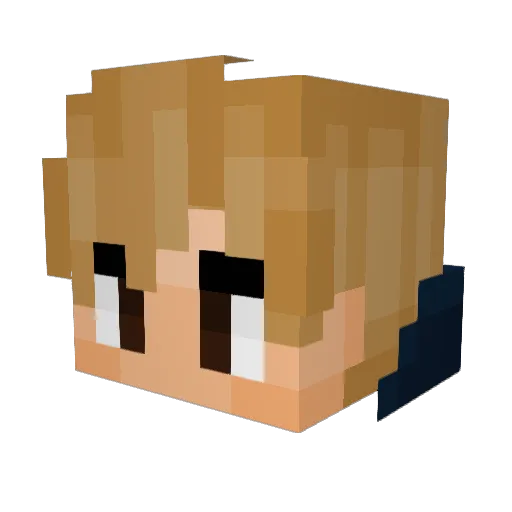 Spoochii Minecraft avatar head, 3D render