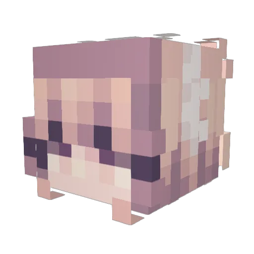 Spook1102 Minecraft avatar head, 3D render