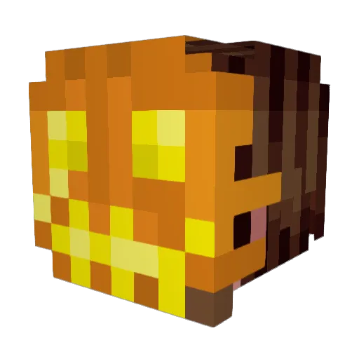Spook12 Minecraft avatar head, 3D render