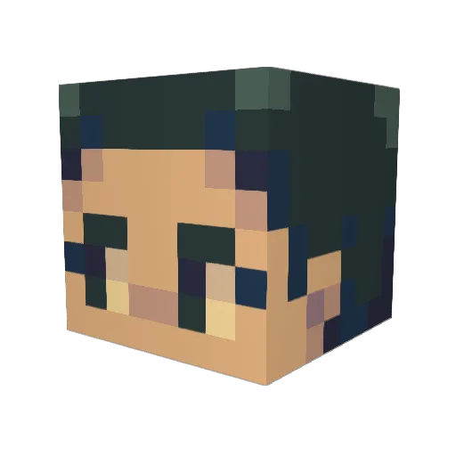 SpookFish800 Minecraft avatar head, 3D render