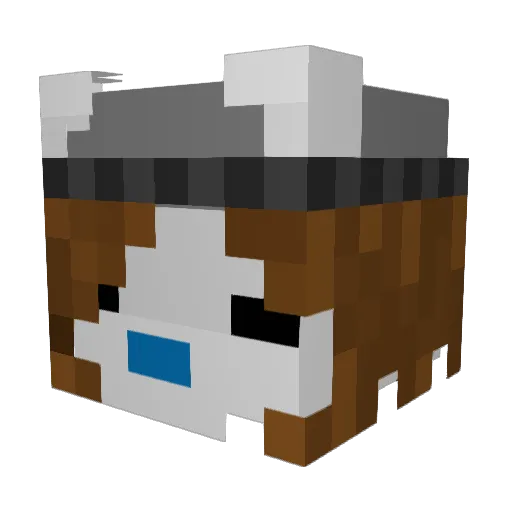 SpookiFish Minecraft avatar head, 3D render