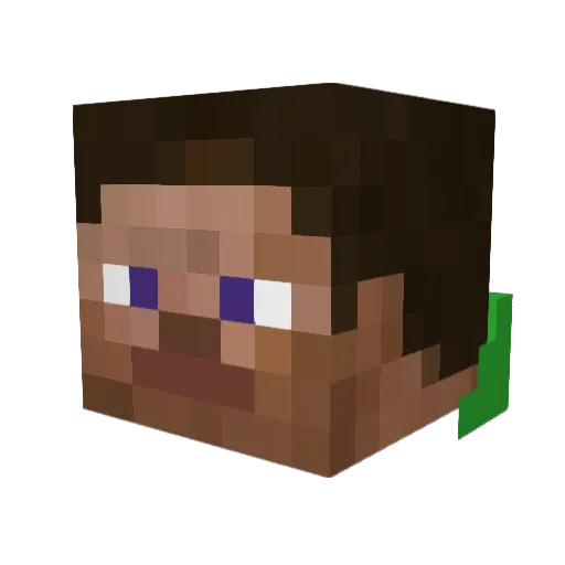 Spookie501 Minecraft avatar head, 3D render