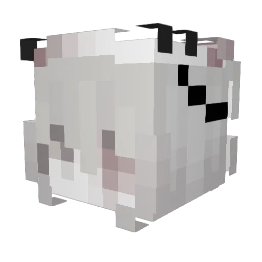 SpookieMillie Minecraft avatar head, 3D render