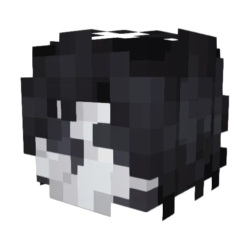 Spooks_Lord77 Minecraft avatar head, 3D render