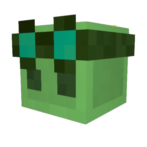 Spooky042 Minecraft avatar head, 3D render