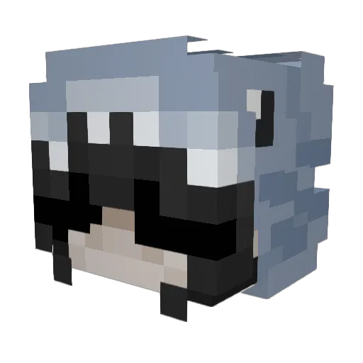 Spooky7695 Minecraft avatar head, 3D render