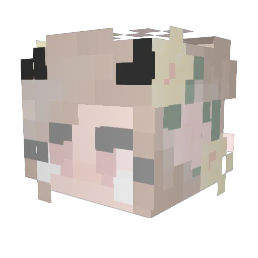 SpookyAutumnVR Minecraft avatar head, 3D render