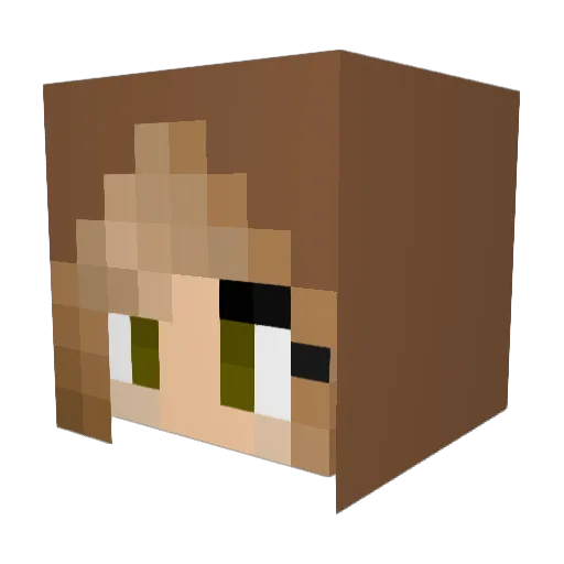 SpookyBingo12 Minecraft avatar head, 3D render