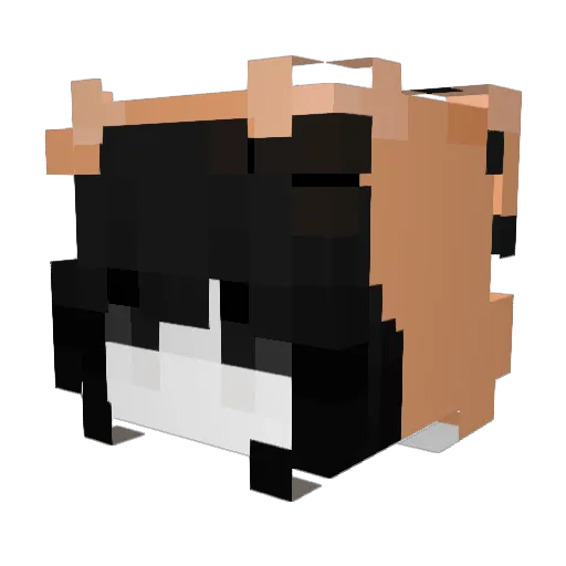 SpookyBlury Minecraft avatar head, 3D render