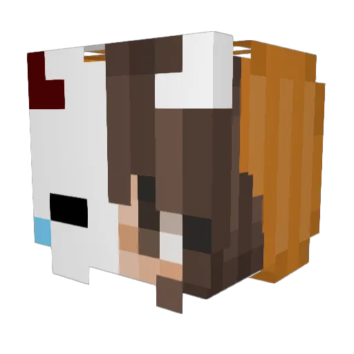 SpookyCat37 Minecraft avatar head, 3D render