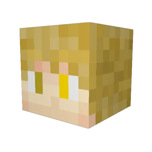 SpookyDarkXX Minecraft avatar head, 3D render